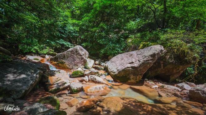 黄山有哪些著名景点 黄山旅游攻略