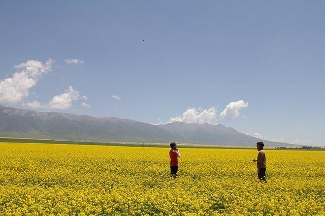 西宁有哪些旅游景点 西宁旅游攻略