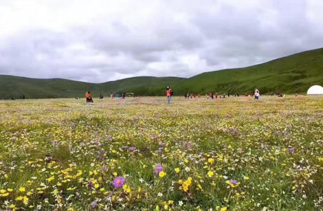 稻城亚丁在哪儿  川西康巴藏区稻城亚丁旅游攻略