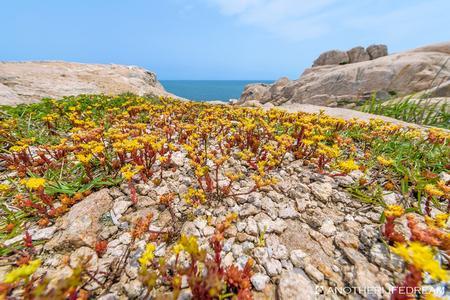 东极岛有什么旅游景点 东极岛自驾游攻略