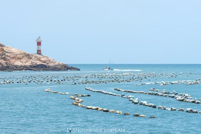 东极岛有什么旅游景点 东极岛自驾游攻略