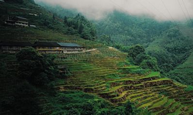 桂北乡村在哪儿  桂北乡村风景怎么样