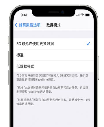 iPhone 13如何控制5G连接时使用的数据量？