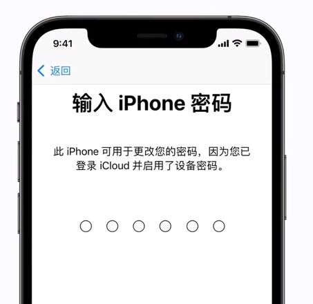 忘记 Apple ID 密码？最快的解决办法来了