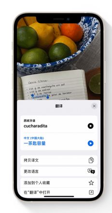 苹果官方分享：iOS 15 哪些新功能最值得关注？