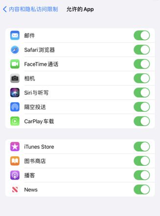 找不到 iPhone 自带的 App，也无法从应用商店重新下载怎么办？