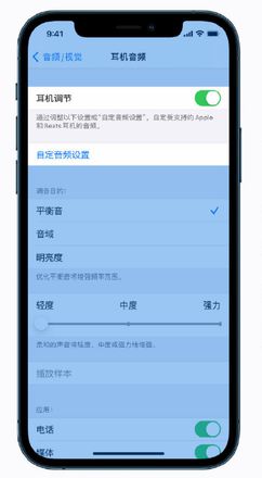 iPhone 12 小技巧：调整音频和视觉设置