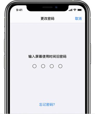 iPhone 屏幕使用时间密码无法用 Apple ID 更改和重置怎么办？