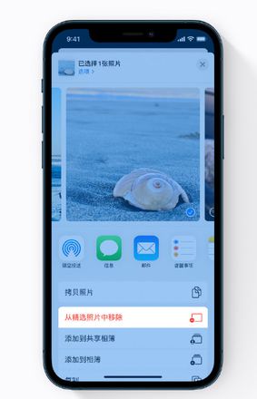 iPhone 12 小技巧：避免让隐私照片显示在照片小组件中