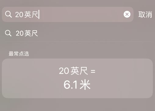 iPhone 实用的搜索框功能，在 iOS 14 beta 4 中再次优化