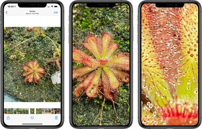 iOS 14 新变化：支持进一步放大照片