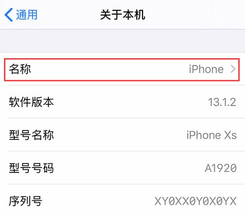 如何更改 iPhone 11 以及设置和配件的名称？