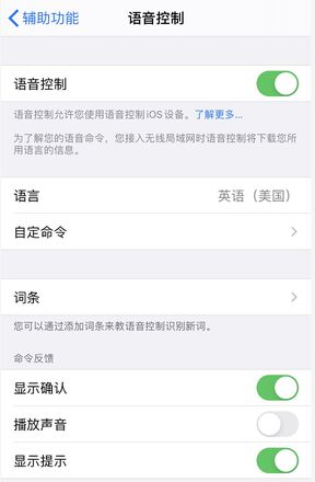 小技巧：通过“语音控制”解锁 iPhone