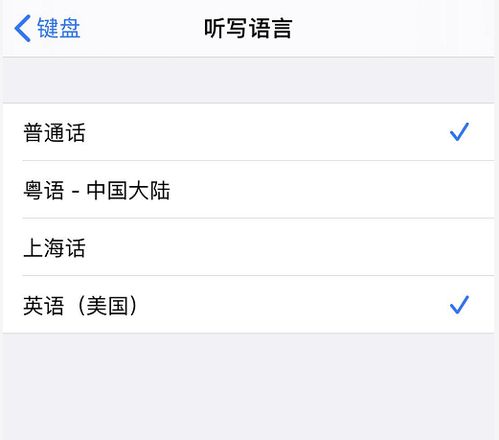 iPhone 11 如何打开语音输入功能？