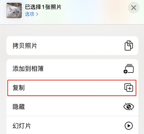 iPhone 11 照片编辑小技巧：巧用“复制”功能保留原片