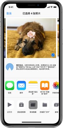 如何找回 iPhone 相册中丢失的照片？