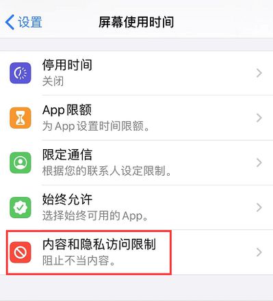 iOS 13 如何禁止下载应用和购买项目？