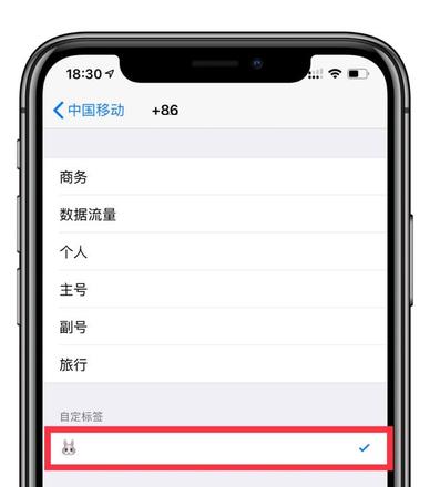 给 SIM卡修改“昵称”，让你的 iPhone 独一无二