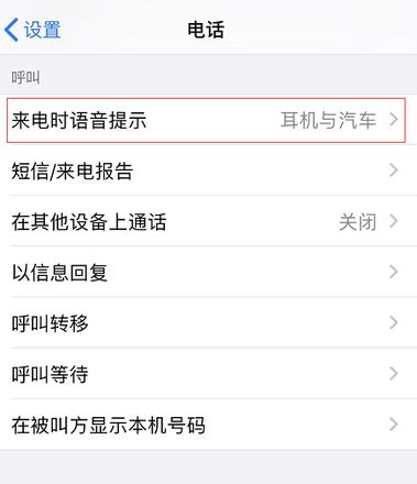 如何为 iPhone 11 开启来电语音提示？