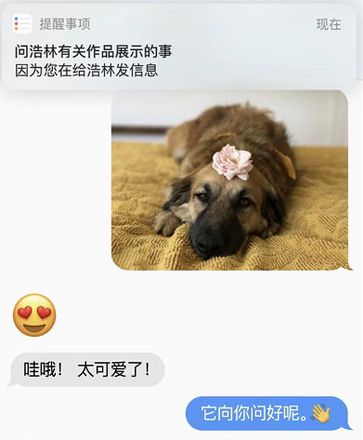 升级 iOS 13 后，这些操作你会了吗？