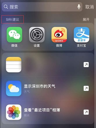 如何关闭 iOS 13 中的搜索建议？