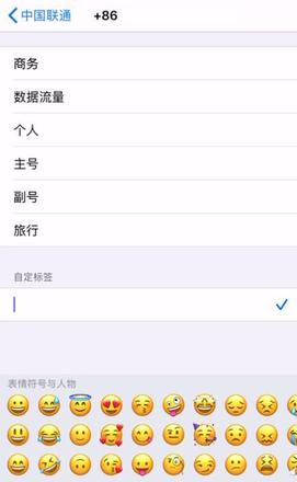 双卡 iPhone 如何免越狱修改 SIM 卡标识？