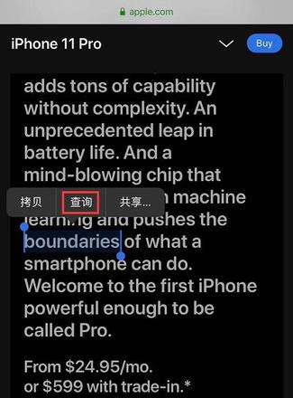 iPhone 自带翻译功能：只需长按两秒