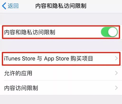 iPhone XR 如何防止误删除应用