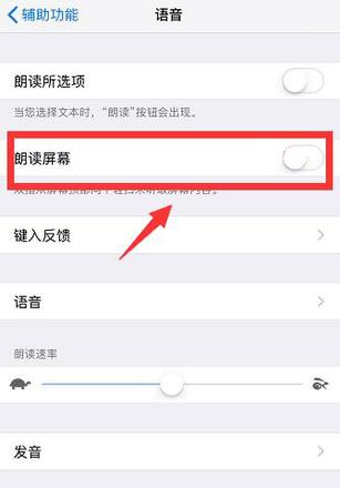 iPhone 如何关闭或开启“朗读屏幕”功能？