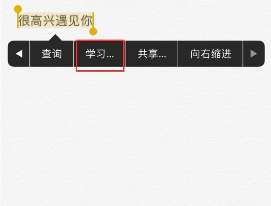 iPhone 选择文本时出现的“学习”选项有什么用？
