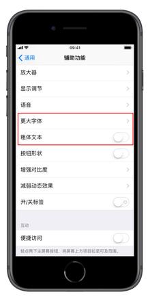 教你在 iPhone 上设置更大的字体