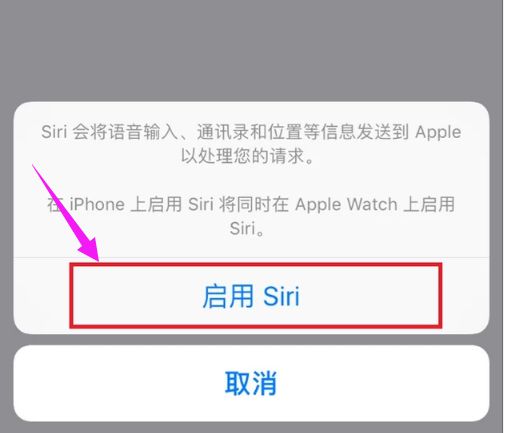 苹果手机如何开启嘿siri(3)