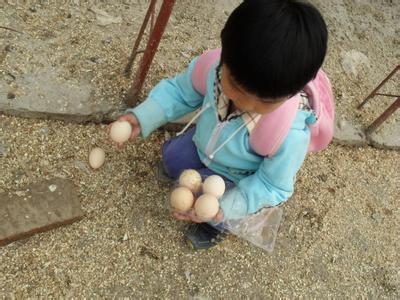 梦见捡鸡蛋