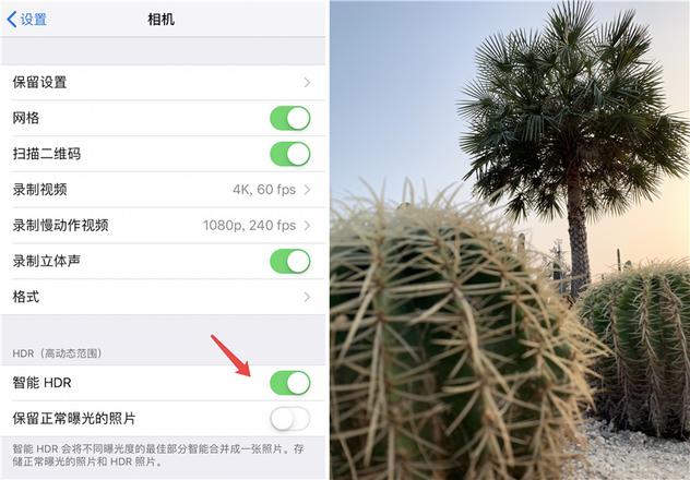 iPhone XR 如何拍摄出好照片?iPhone XR拍摄技巧