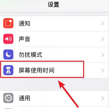 iOS 12 如何禁止删除已下载的应用？