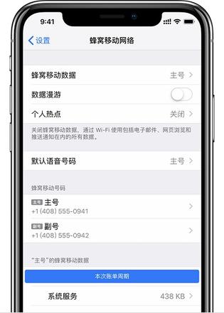 iPhone XS Max 无法使用互联网套餐免流服务的解决方法