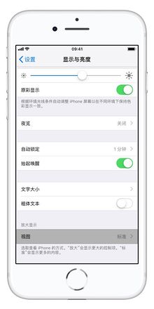 iPhone XS/XS Max 图标太小怎么办？苹果手机图标放大教程