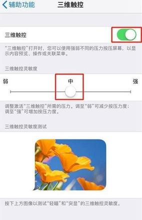 如何在iPhone XS系列苹果手机中开启3D Touch功能？