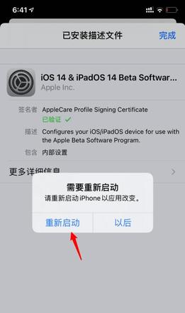 苹果怎么更新ios14(7)