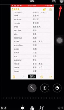 iphone自带怎么局部马赛克(2)