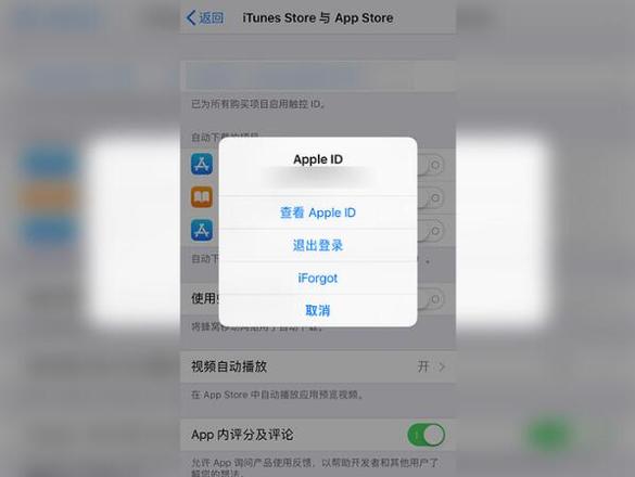 苹果手机无法连接app store(3)