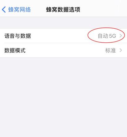 苹果12怎么关5g网络(2)