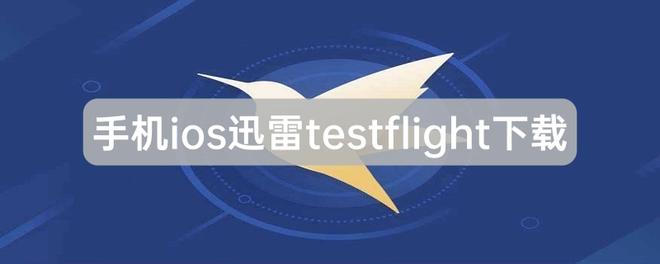 手机ios迅雷testflight下载页介绍