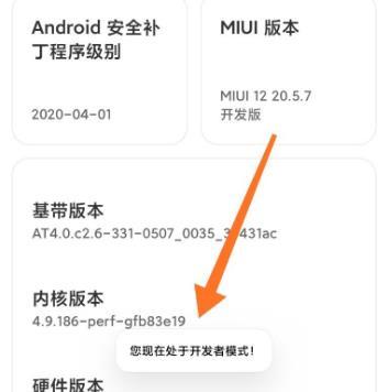 miui12开发者选项打开方法