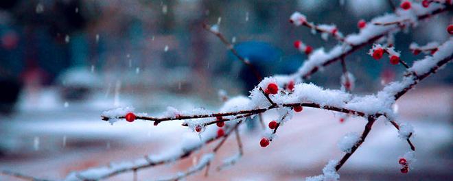 大雪节气习俗 大雪节气有哪些习俗