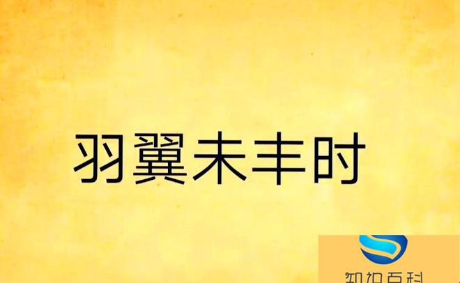 羽翼未丰代表什么意思