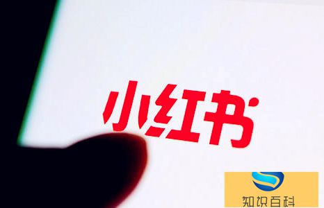 小红书粉丝过万有收入吗1