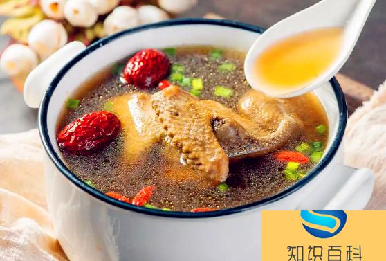 鸽子汤不能放什么食材一起炖2