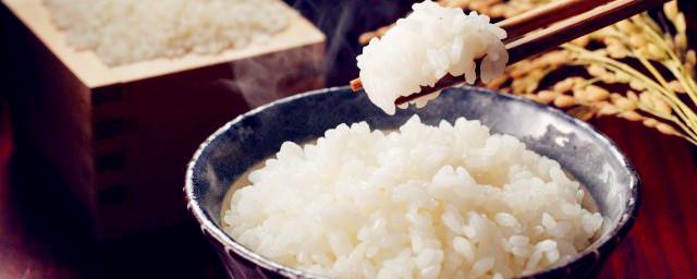 米饭可以放冰箱冷冻吗 米饭能不能放冰箱冷冻