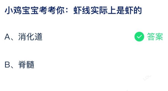 虾线实际上是虾的什么 蚂蚁庄园7月26日答案最新